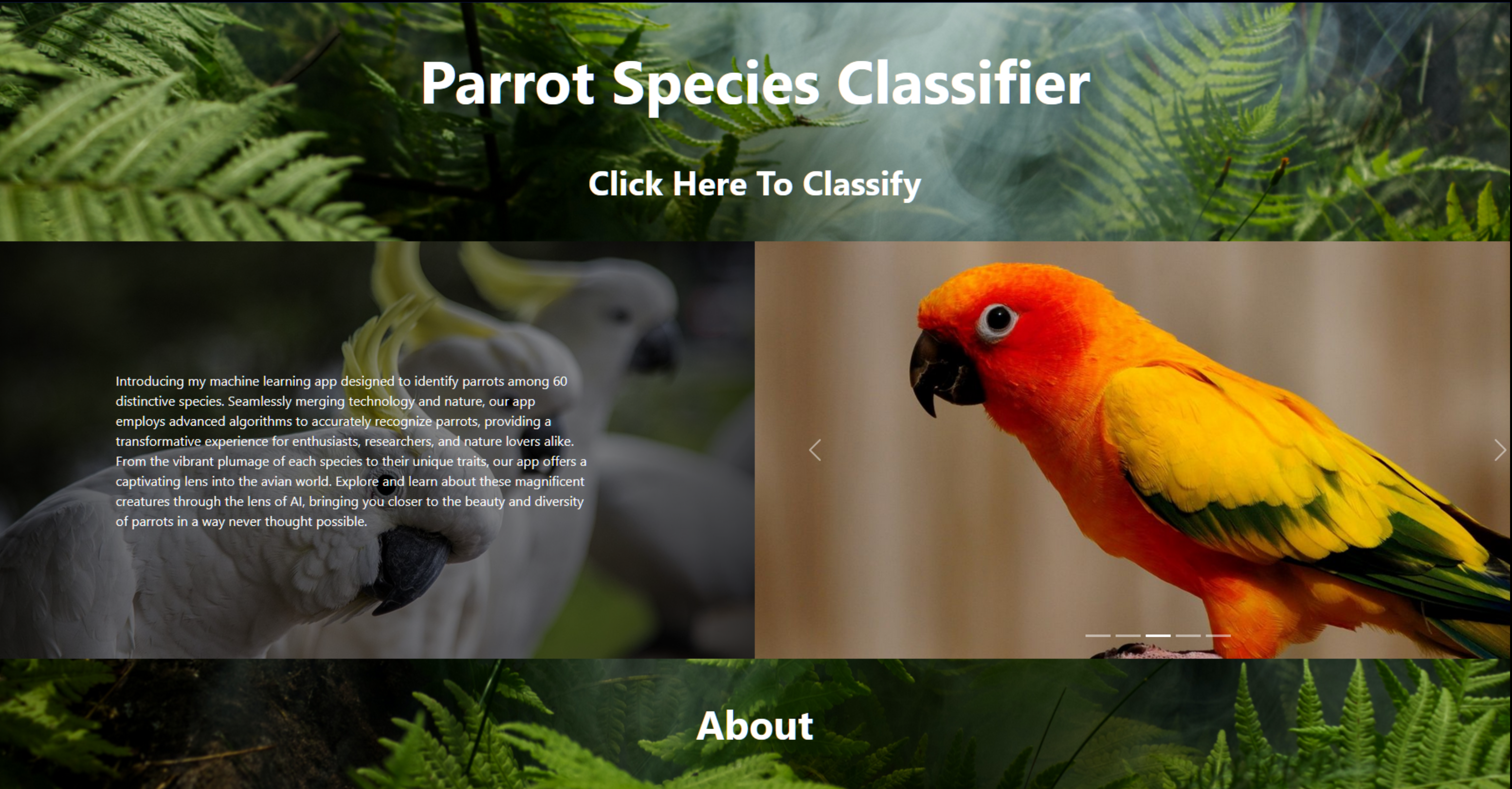 Parrot Species Classifier